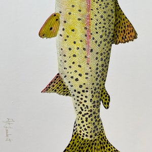 Cutthroat Trout Watercolor Illustration Print image 4