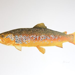 Brown Trout Watercolor Illustration Print