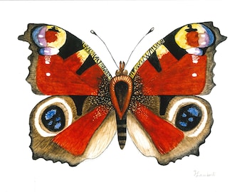 Peacock Butterfly Watercolor Illustration Print