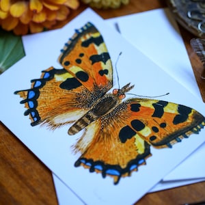 Puede incluir: Ilustración detallada de una mariposa con marcas naranjas, negras y azules, posada sobre una tarjeta blanca. Las alas de la mariposa están extendidas, mostrando patrones intrincados. La imagen está sobre una superficie de madera, con flores y un bolígrafo en el fondo.