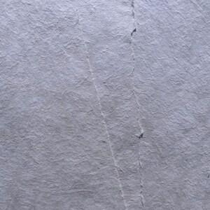 May include: Close-up of a sheet of textured, light gray paper. The paper has a crinkled appearance with visible lines and subtle variations in tone, suggesting a handmade or aged quality. The surface is evenly lit, highlighting the paper's texture.