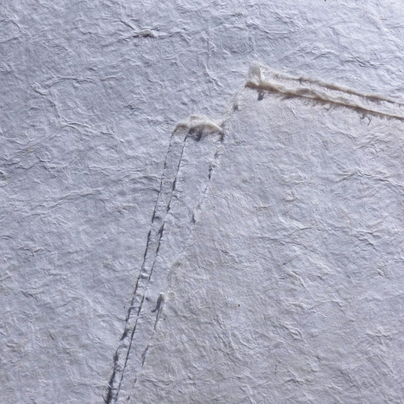 Pu&ograve; includere: Primo piano di carta fatta a mano strutturata, grigio chiaro, con fibre visibili e un bordo strappato. La carta ha un aspetto sottile e rugoso, che suggerisce una qualit&agrave; naturale e organica. Ideale per artigianato, cancelleria o progetti artistici.