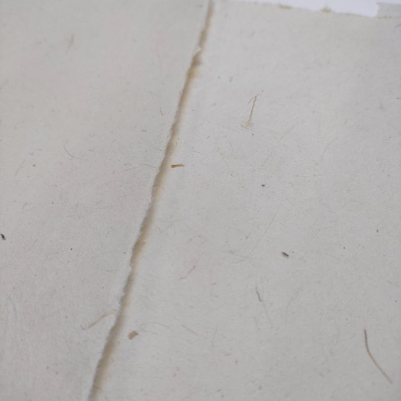 Puede incluir: Primer plano de dos hojas de papel hecho a mano. El papel tiene una superficie rugosa y texturizada con fibras visibles y peque&ntilde;as motas. Los bordes del papel son irregulares, lo que sugiere un borde rasgado o con barbas. El papel es de color blanquecino.