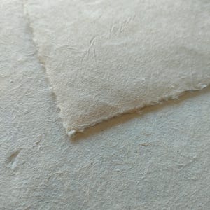 Gros plan sur une feuille de papier texturé blanc cassé avec un bord légèrement rugueux.