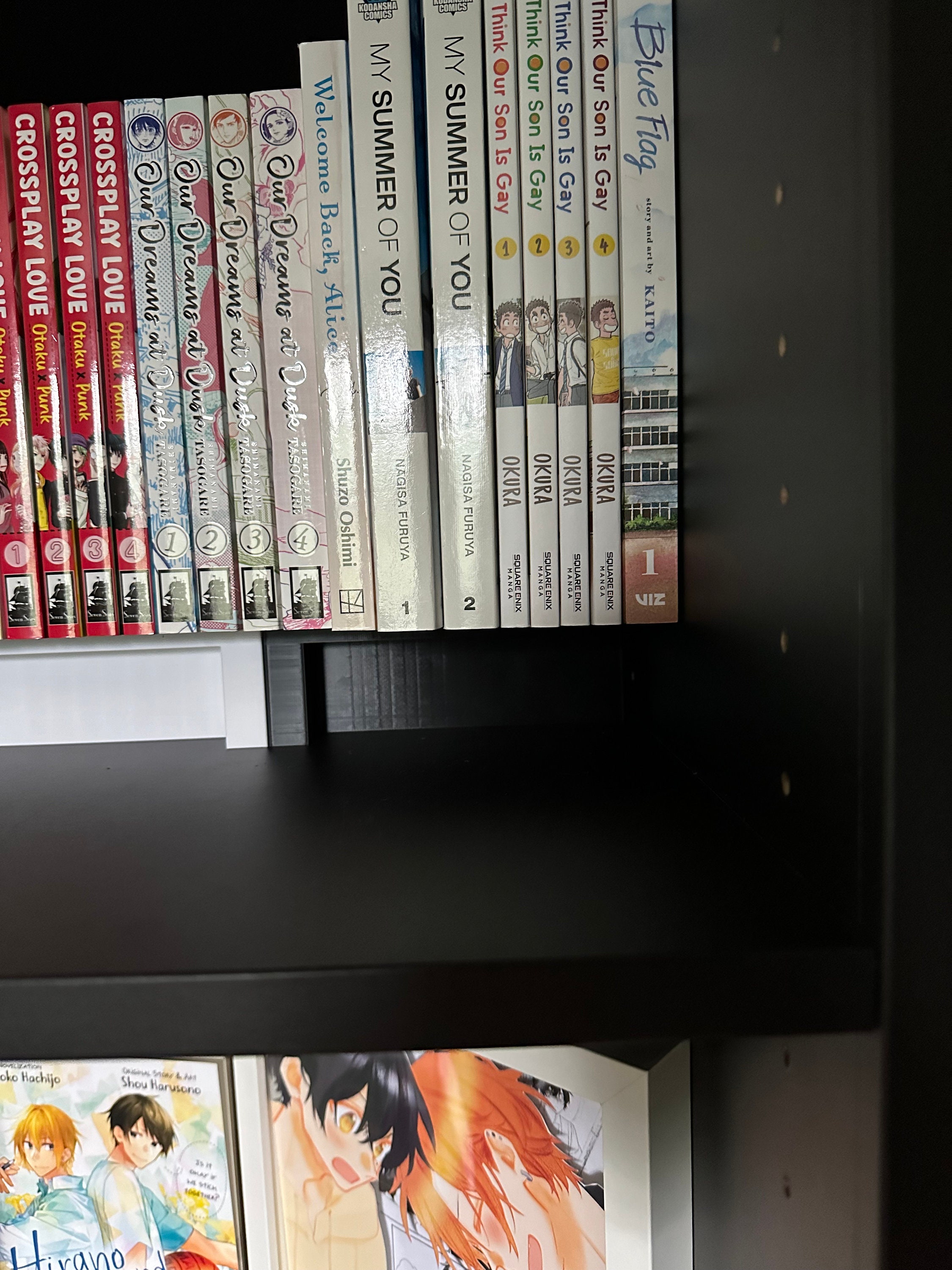 Manga Bookshelf Riser Organizer Etsy