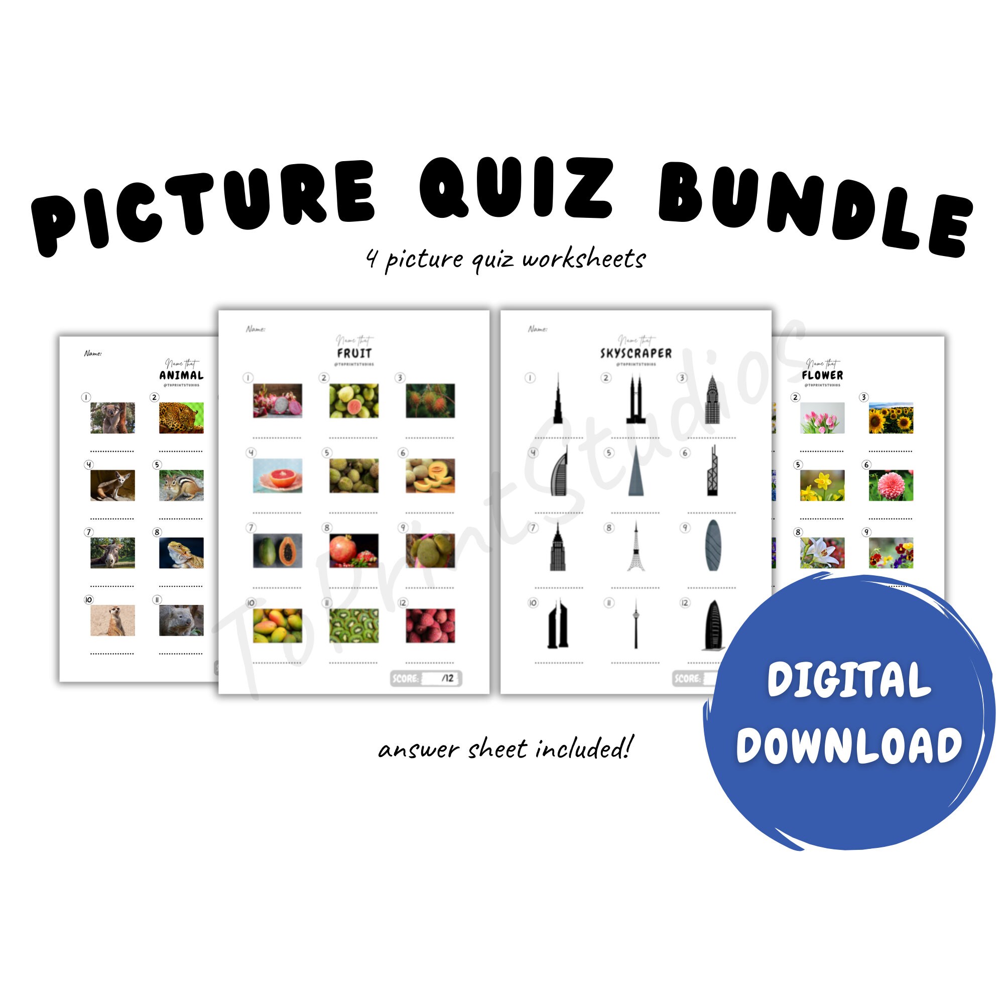 Picture Quiz Bundle Printable Pub Quiz Picture Round - Etsy