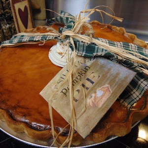 FAKE 9-inch Pumpkin Pie