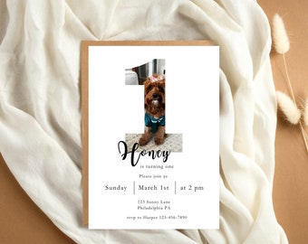 Custom Photo Invitation |  Birthday Party Invite | 1st Birthday | Children's Birthday | Personalized Card | Printable Invite