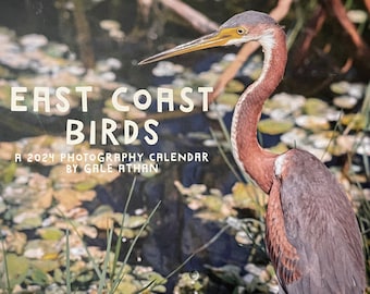 East Coast Birds: A 2024 Photography Calendar