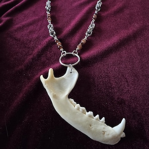 The Thief's Trophy Raccoon Jaw Necklace | Real Bone | ONE OF A KIND