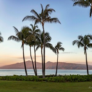 May include: A view of a tropical beach with palm trees in the foreground and a mountain range in the background. The sky is a light blue with a pink hue near the horizon. The water is calm and blue.