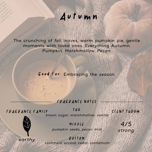 Autumn Candle 8oz Soy Little Rituals Candle Co. image 3