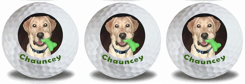 May include: Three white golf balls with a picture of a yellow Labrador Retriever dog with a green bone in its mouth. The dog's name, "Chauncey", is printed on each ball.