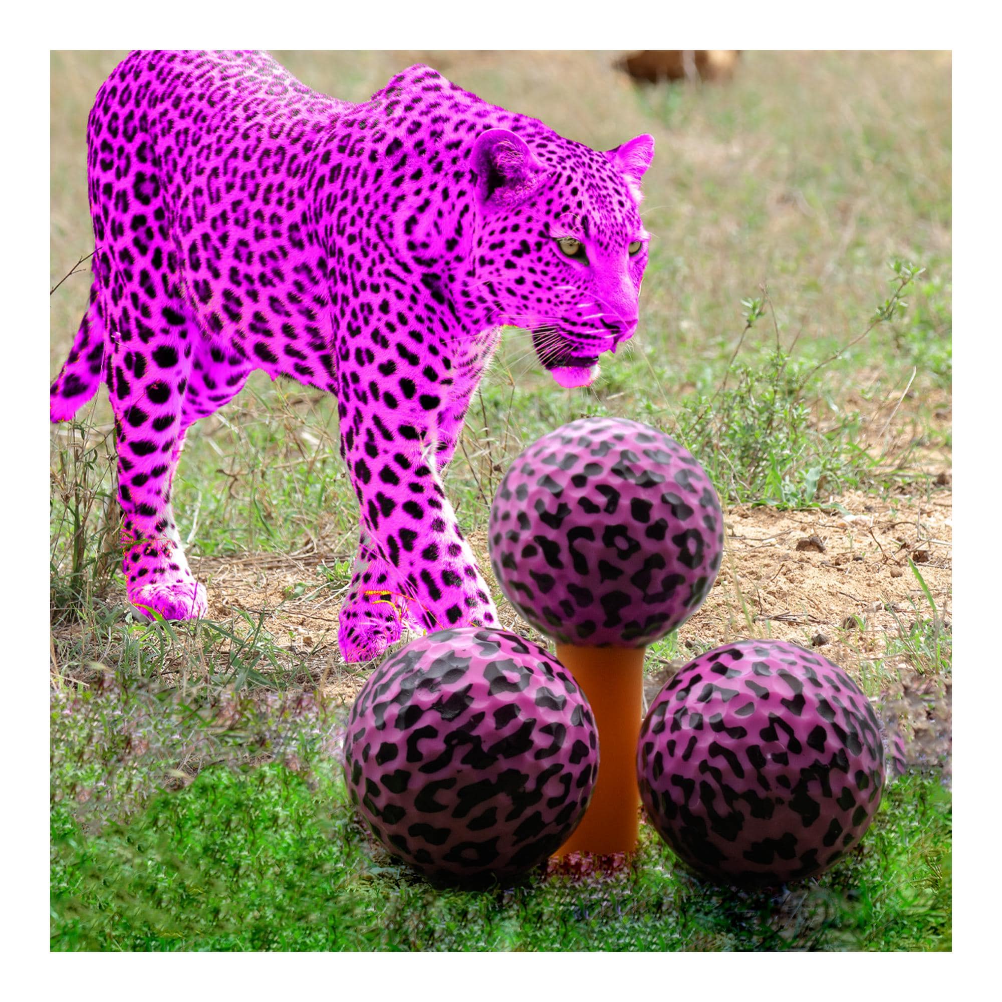 ピンクのヒョウ柄ノベルティゴルフボール - Etsy 日本