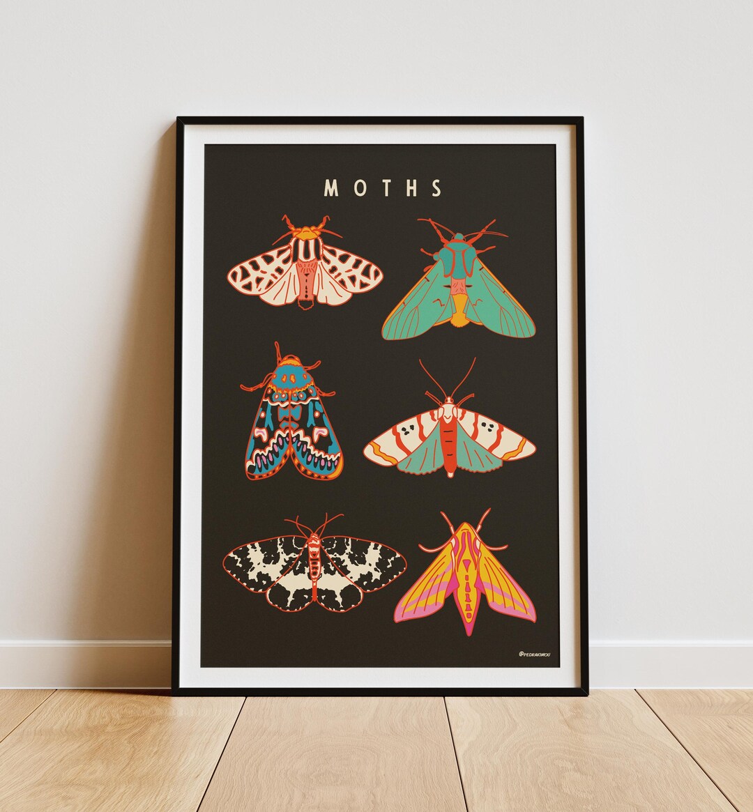 Moths Vintage Original Art Print Poster - Etsy