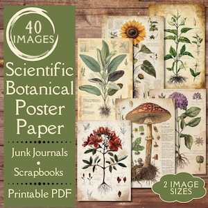 Affiche botanique vintage Junk Journal Ephemera. Papier numérique d'illustrations scientifiques anciennes de plantes. Les diagrammes incluent des fleurs et des herbes.
