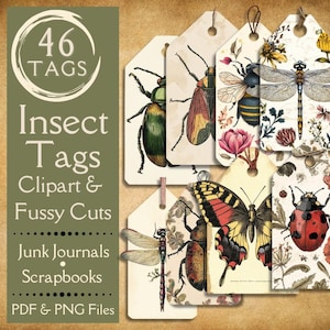 vintage étiquettes de journal indésirables insectes. Papier numérique avec des étiquettes d'insectes anciennes avec des papillons, des coléoptères et des libellules avec des arrière-plans botaniques.