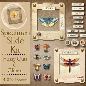 Kit de lames d'échantillons d'insectes pour journaux indésirables. Papier numérique à découpes soignées pour lames de plantes pour albums de découpures. Pour les artisans amateurs d'éphémères scientifiques.