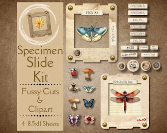 Insect Specimen Slide Kit for Junk Journals. Digital paper of plant slide fussy cuts for scrapbooks. For crafters who love science ephemera.