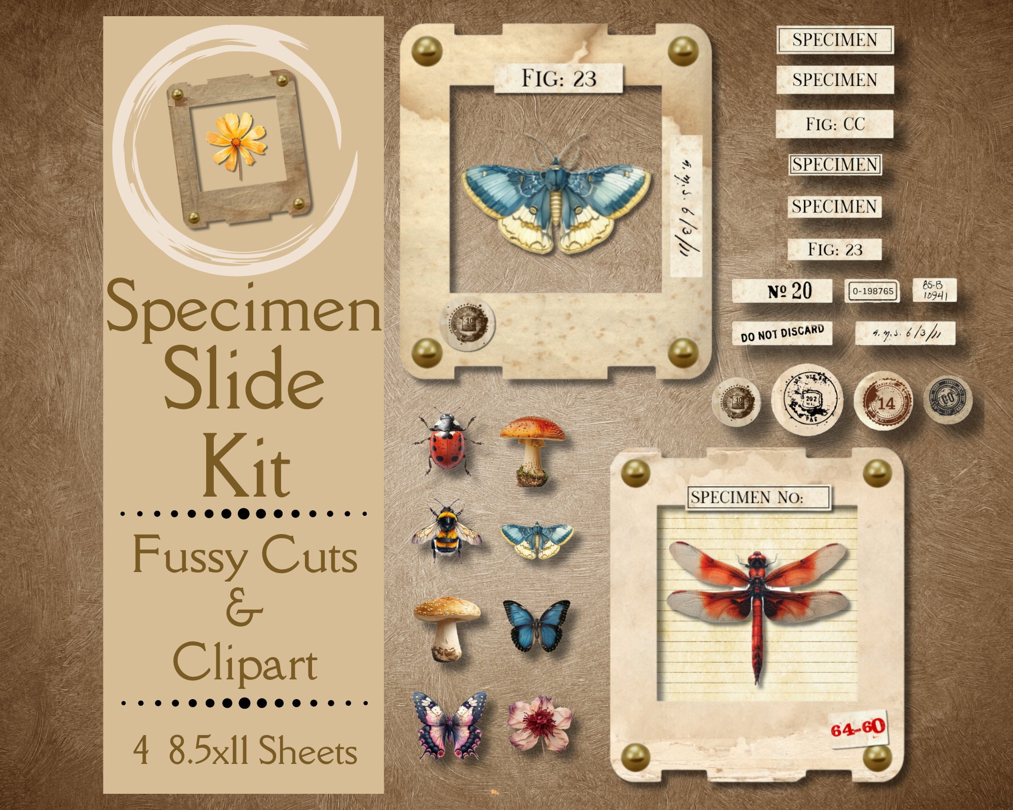 Insect Slide Collection Insect Specimen Slide Kit for Junk Journals. Digital Paper of Plant ...