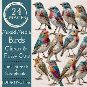 Mixed Media – wycinanki z ptakami do scrapbookingu. Cyfrowy papier z clipartami ptaków w stylu vintage do kolaży. Do druku prymitywne, zniszczone ptaki w formacie PNG.