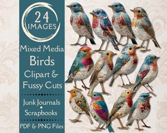 Mixed Media Bird Fussy Cuts for Junk Journals. Digital paper of vintage birds clipart for collage art. Printable primitive, shabby bird PNG.