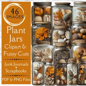 May include: 46 images of plant jars with various natural elements, including shells, acorns, mushrooms, and dried flowers. The jars are clear glass with cork lids. The image is labeled "Plant Jars Clipart & Fussy Cuts Junk Journals Scrapbooks PDF & PNG Files".