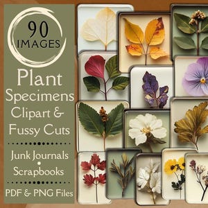 Ephemera de espécimes de plantas e flores para Junk Journals. Papel digital de cortes de amostras de plantas para scrapbooks e slides de espécimes de vidro de flores