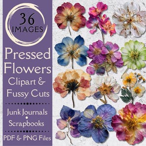 May include: A collection of 36 pressed flower images in various colors, including pink, blue, yellow, and white. The image also includes text that reads "Pressed Flowers Clipart & Fussy Cuts" and "PDF & PNG Files."