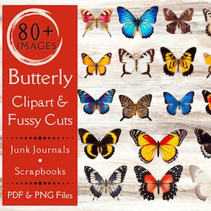 Foto di farfalle con tagli elaborati per diari spazzatura. Carta digitale scaricabile con clipart di farfalle per album. Adesivo boho con farfalla monarca.