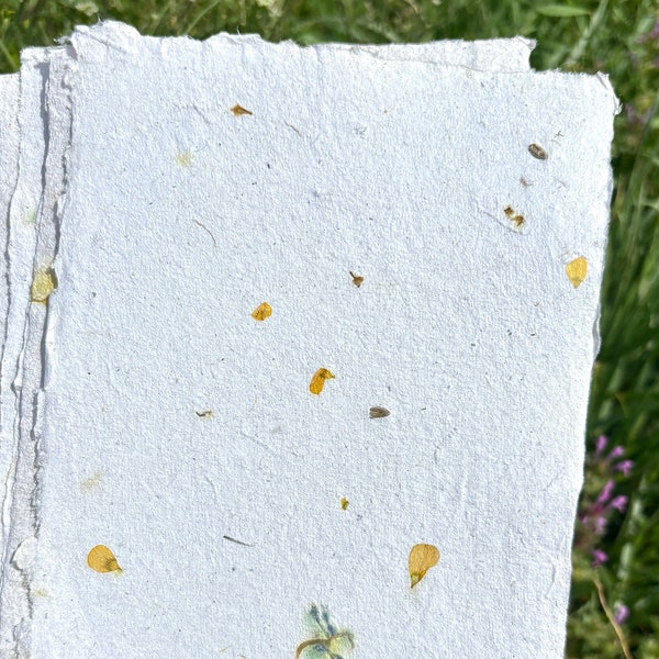 handmade paper, recycled paper, homemade paper, dried flower paper, flower paper, deckle edge paper, 5x7 handmade paper