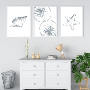 Coastal Beach Prints Set: Blue Gray Shell Art (Digital Download)