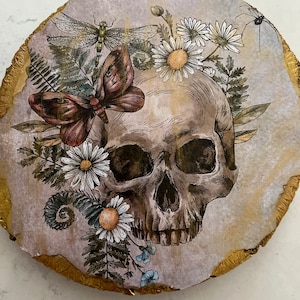Skull with Flowers Decoupage Wall Decor