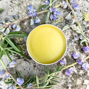 Calendula Lip Salve Organic Safe Gentle