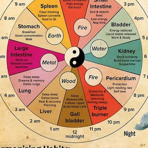 Diagramme corporel numérique. Impression d'art mural inspirante. Graphique circadien de médecine chinoise| accès instantané| imprimable|santé, bien-être et nutrition
