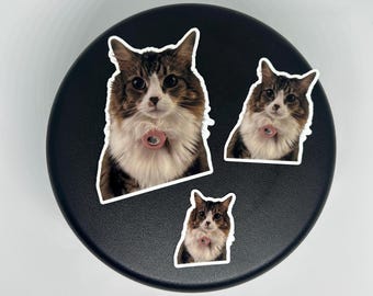Custom Pet Stickers | Waterproof Vinyl Decal from Photo