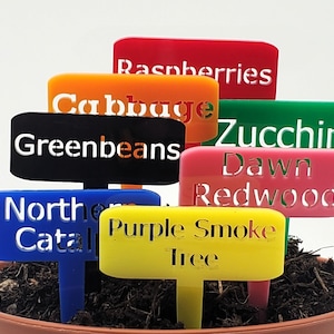 Marcatori per piante in acrilico personalizzati, tagliati al laser, impermeabili e permanenti, etichette per piccoli giardini - 3 marcatori / 10 colori - Etichette riutilizzabili per giardini