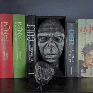 Könnte beinhalten: Ein Bücherregal mit Büchern und dekorativen Gegenständen. Die Bücher umfassen Titel wie "Die Tribute von Panem" und "Harry Potter". Ein geformtes Gesicht und eine Schlange sind ebenfalls ausgestellt, wodurch eine thematische Anordnung entsteht. Die Bücher sind in verschiedenen Farben.