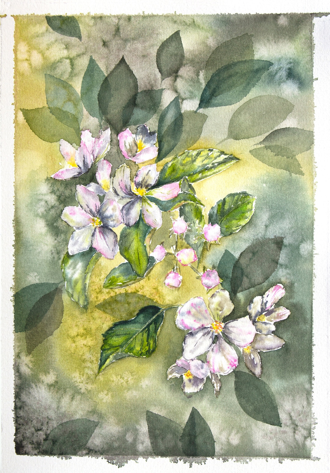Original Watercolor Painting. Watercolor Apple Blossom Painting ...