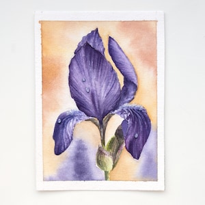 May include: A watercolor painting of a purple iris with water droplets on the petals. The background is a soft orange.