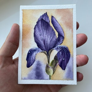 May include: A watercolor painting of a purple iris flower with water droplets on the petals. The background is a soft yellow and purple.