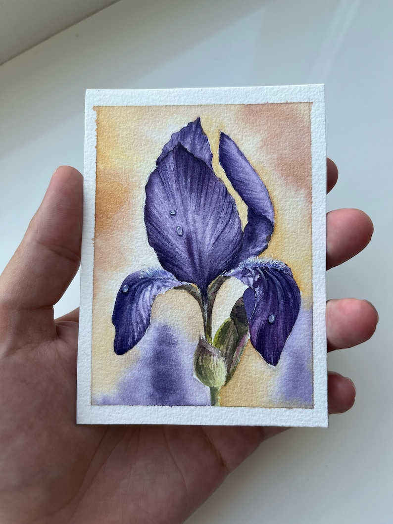 May include: A watercolor painting of a purple iris flower with water droplets on the petals. The background is a soft yellow and purple.