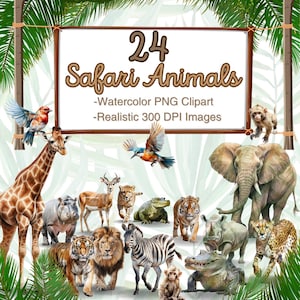 24 Safari Tiere Aquarell PNG Clipart - realistische Tiere, Dschungel Safari PNG, Dekor, kommerzielle Nutzung, Kinder, erwachsene Tiere, png, Löwe, Zebra