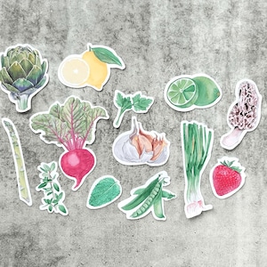 Adesivi lucidi primaverili per frutta e verdura, confezione da 13 – Adesivi colorati a tema alimentare, perfetti per laptop, diari, regali