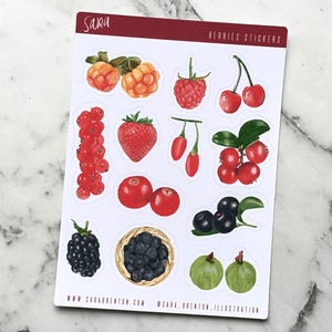 Kleine Beeren Aquarell Illustrationen Aufkleber - Handgemaltes, lebendiges Produkt für Planer, Journaling, Handwerk, Laptop, Hochzeit