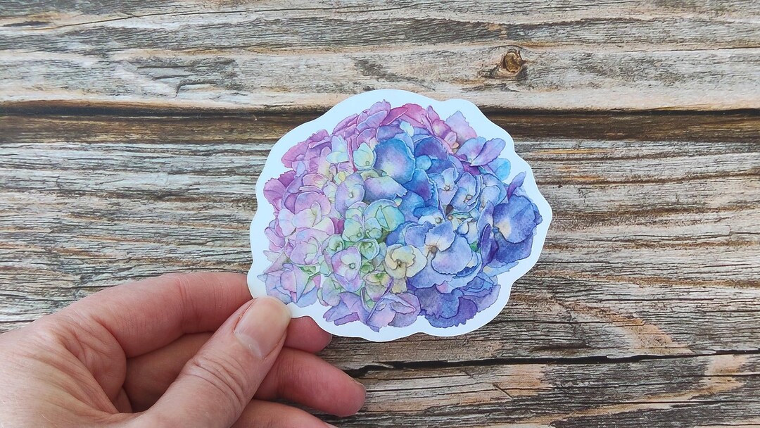 Watercolour Hydrangea Flower Sticker: Botanical Floral Illustration ...