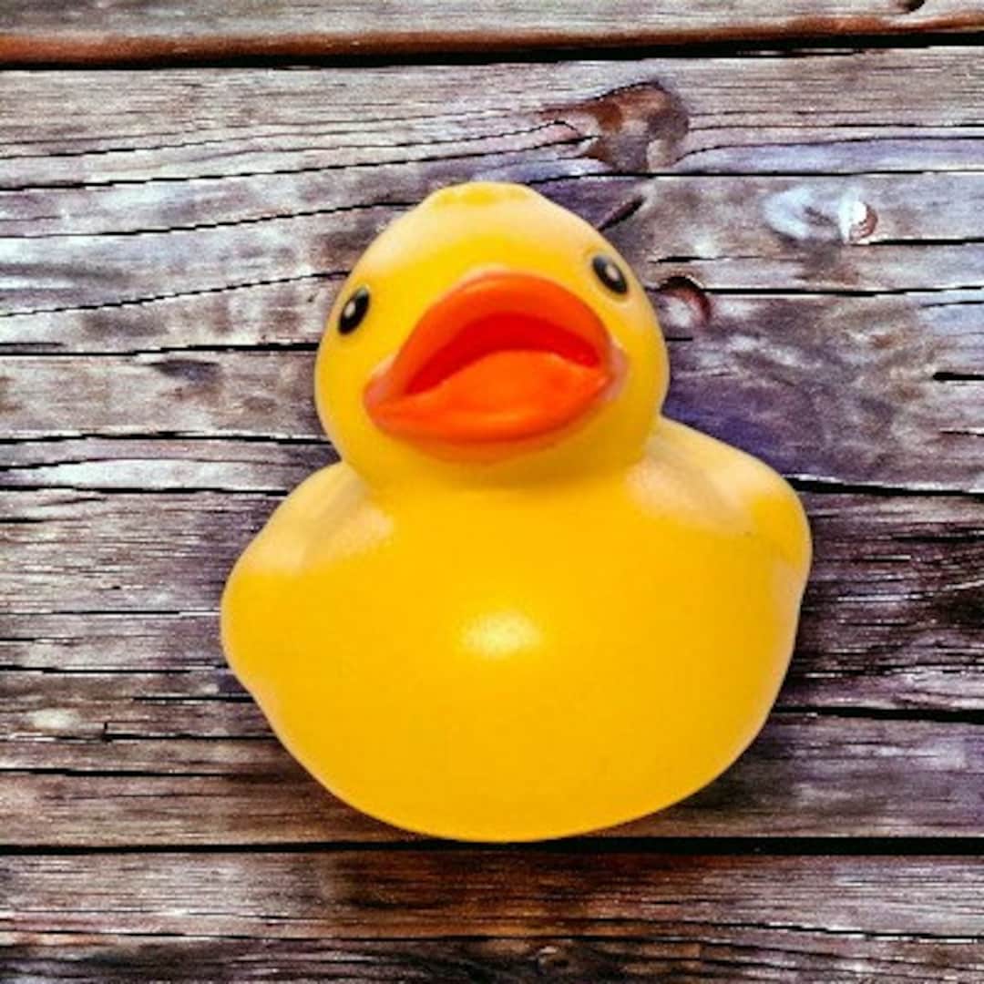 Singing Yellow Rubber Ducky Cruise Ducks Ducky Kids Toys Bath Toys ...
