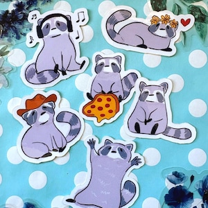 Paquete de pegatinas de mapache / Pegatinas brillantes e impermeables