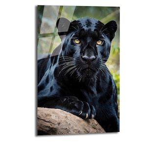 Black Panther Tempered Glass Printing Wall Art , Vivid Wall Decor ,Extra Large Wall Art, Gift Wall Painting , Mega Glass Wall Decor