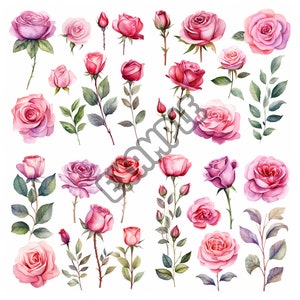 Watercolor Rose Clipart Bundle, Watercolor clipart , clipart , Pastel flowers, Decor, Party decorations, Birthday,  Elements, roses , Bridal